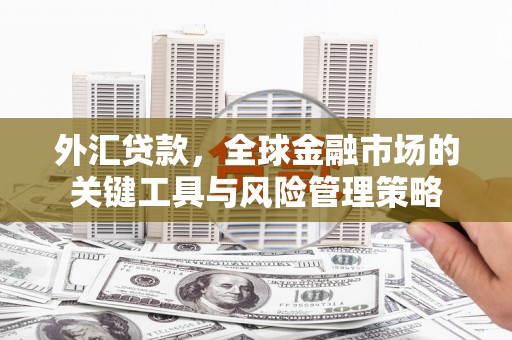 富拉尔基外汇贷款，全球金融市场的关键工具与风险管理策略