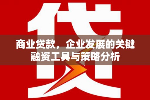 富拉尔基商业贷款，企业发展的关键融资工具与策略分析