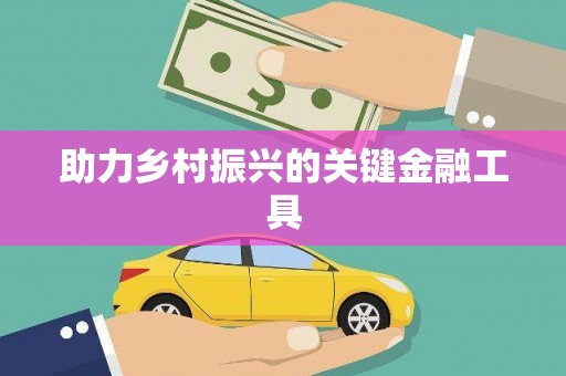 富拉尔基助力乡村振兴的关键金融工具