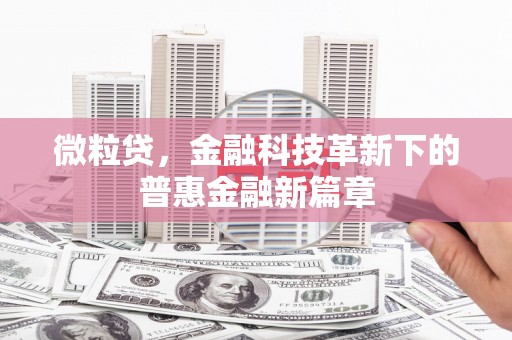 富拉尔基微粒贷，金融科技革新下的普惠金融新篇章