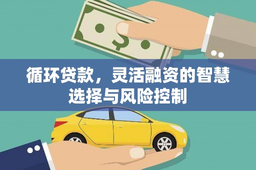 富拉尔基循环贷款，灵活融资的智慧选择与风险控制