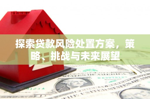 富拉尔基探索贷款风险处置方案，策略、挑战与未来展望