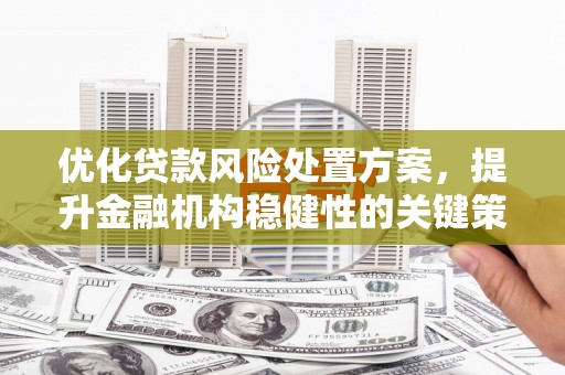 富拉尔基优化贷款风险处置方案，提升金融机构稳健性的关键策略