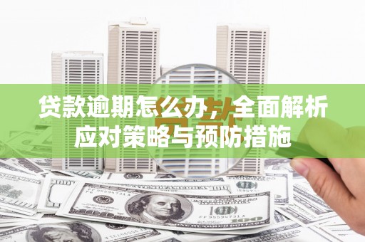 富拉尔基贷款逾期怎么办，全面解析应对策略与预防措施