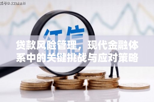富拉尔基贷款风险管理，现代金融体系中的关键挑战与应对策略