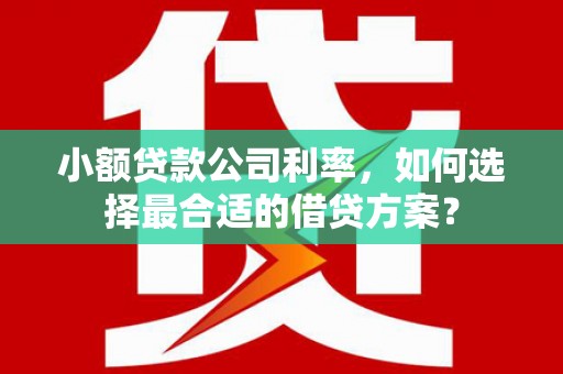 富拉尔基小额贷款公司利率，如何选择最合适的借贷方案？