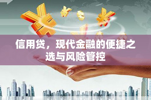 富拉尔基信用贷，现代金融的便捷之选与风险管控
