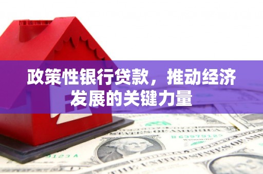 富拉尔基政策性银行贷款，推动经济发展的关键力量