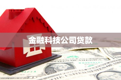 富拉尔基金融科技公司贷款