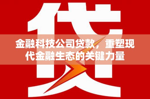 富拉尔基金融科技公司贷款，重塑现代金融生态的关键力量