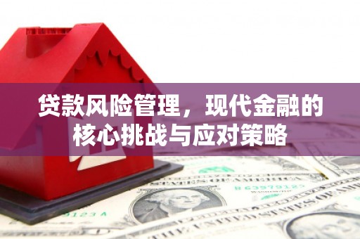 富拉尔基贷款风险管理，现代金融的核心挑战与应对策略