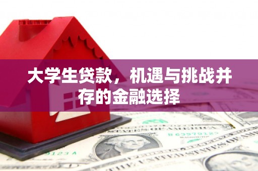 富拉尔基大学生贷款，机遇与挑战并存的金融选择