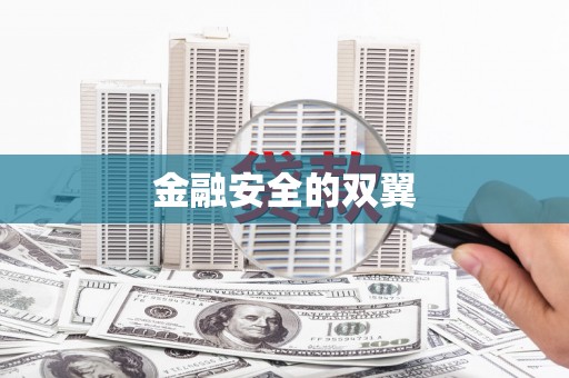 富拉尔基金融安全的双翼