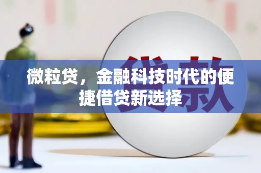 富拉尔基微粒贷，金融科技时代的便捷借贷新选择
