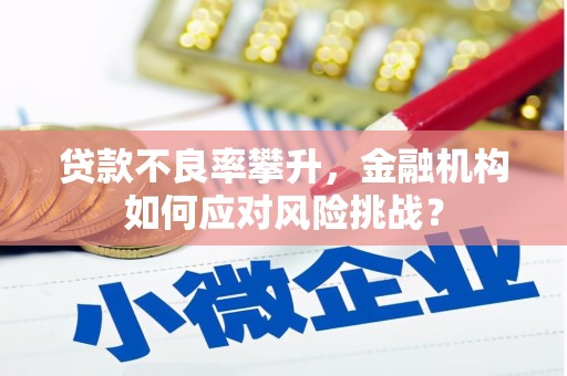富拉尔基贷款不良率攀升，金融机构如何应对风险挑战？