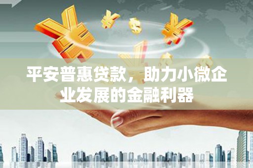 富拉尔基平安普惠贷款，助力小微企业发展的金融利器