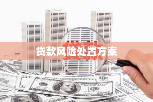 富拉尔基贷款风险处置方案