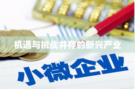 富拉尔基机遇与挑战并存的新兴产业